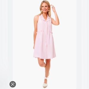 Tuckernuck Oxford Sleeveless Pink Dress